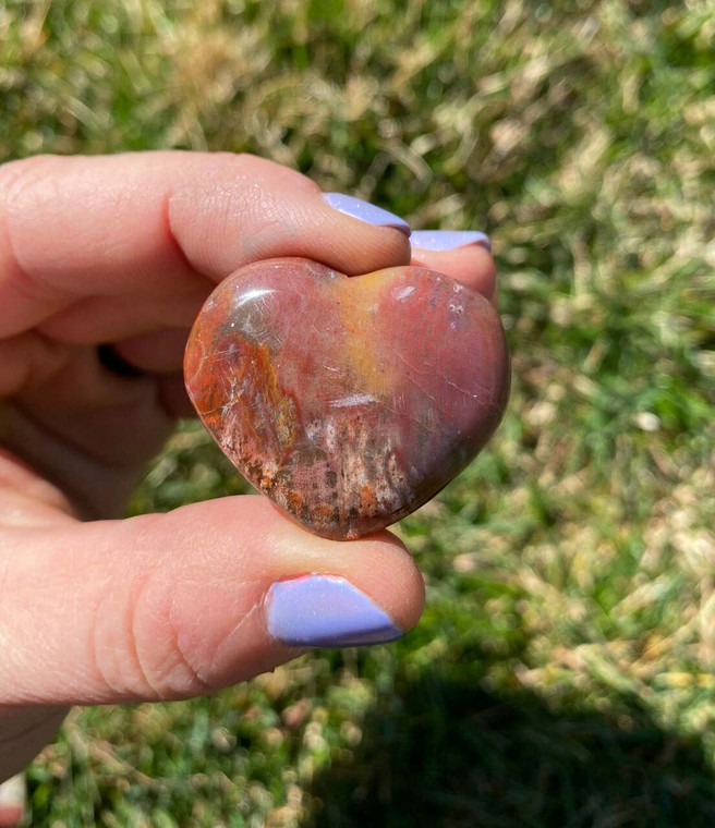 Petrified Wood Heart - Polished Stone