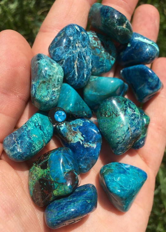 Chrysoprase Tumbled Stone Extra Quality - Polished Chrysoprase Crystal