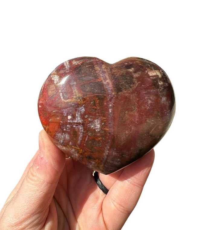 Petrified Wood Heart