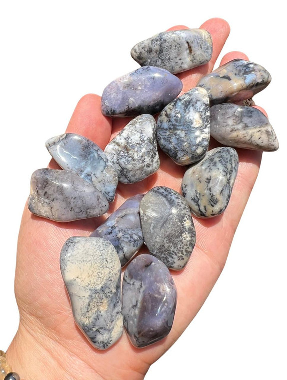 Dendritic Agate Polished Stone 
