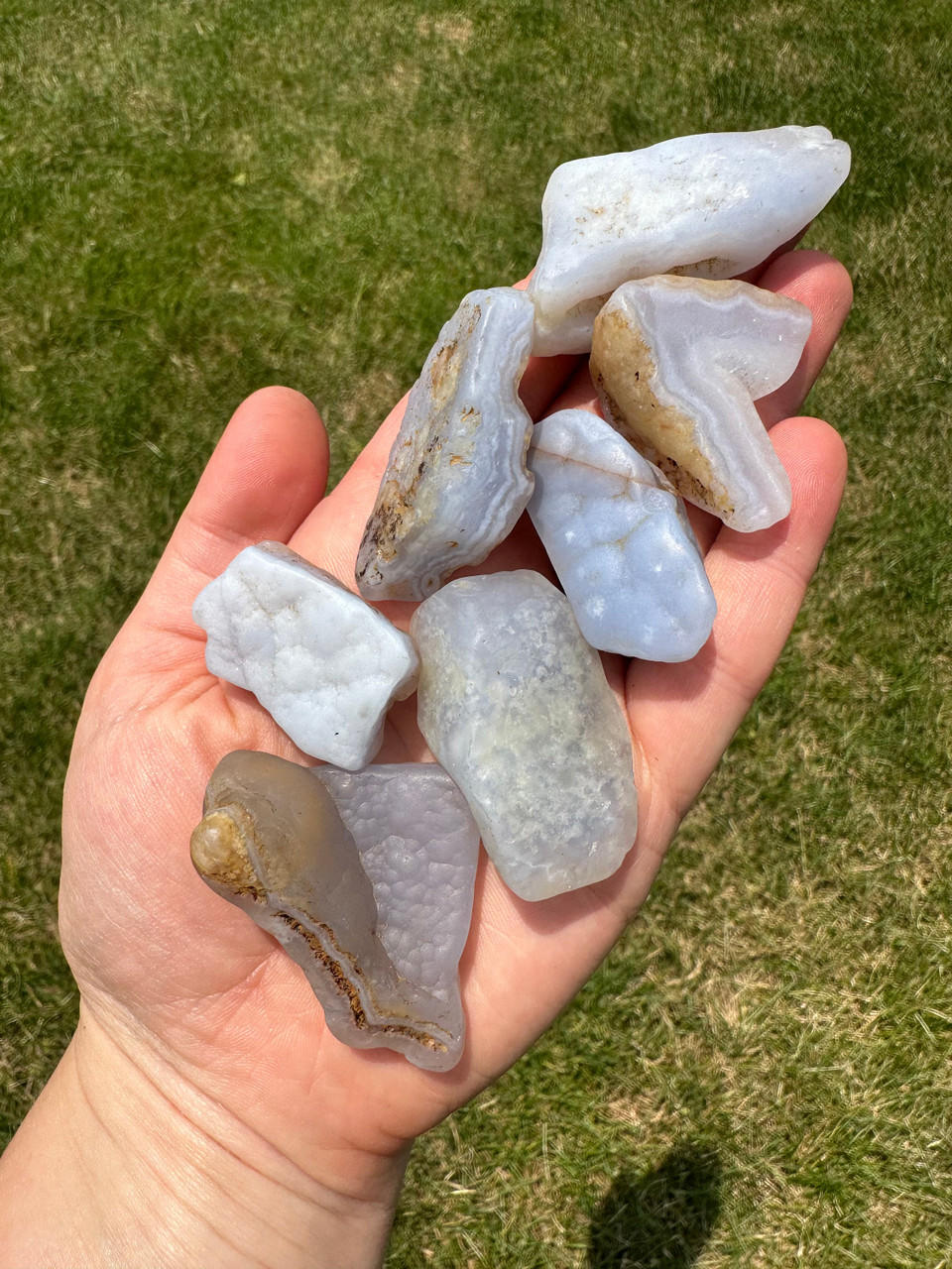 いこまる★PRECIOUS STONES PRINT BULOUSON Fossilized Coral Tumbled Stones | The Stone Sanctuary