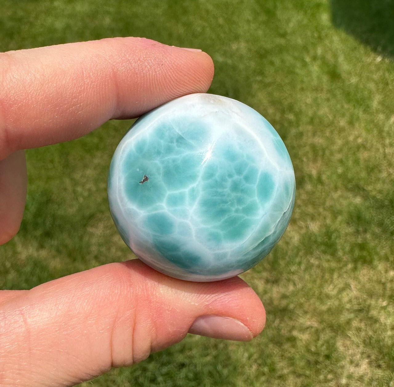Larimar Sgrade #006 【公式通販】