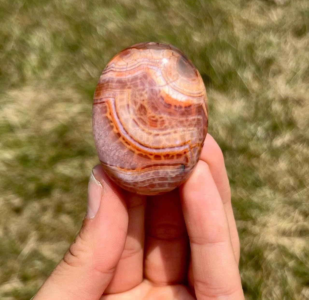 Fire Agate Palm Stone | New Moon Beginnings