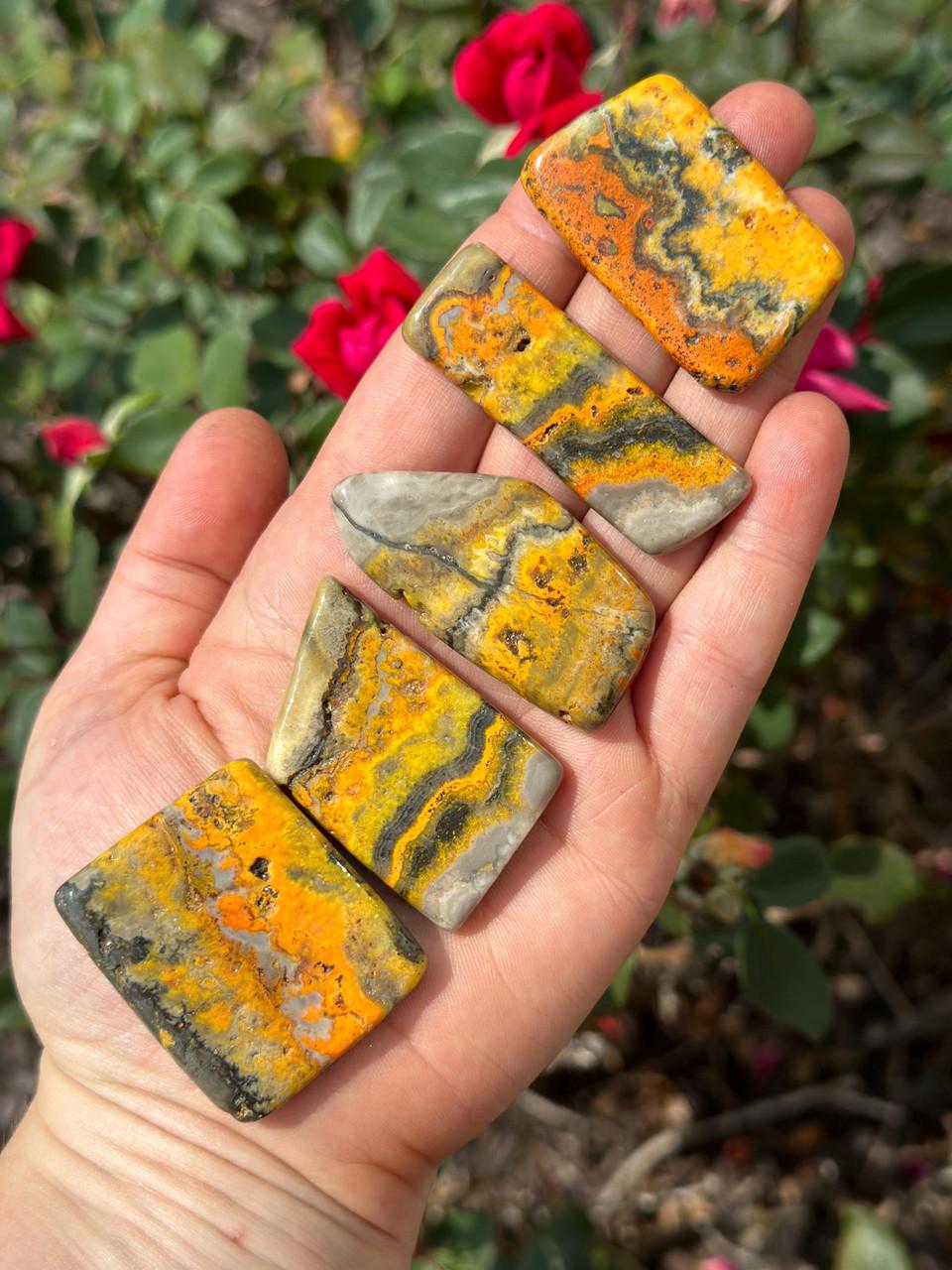 Bumble Bee Jasper Slice New Moon Beginnings