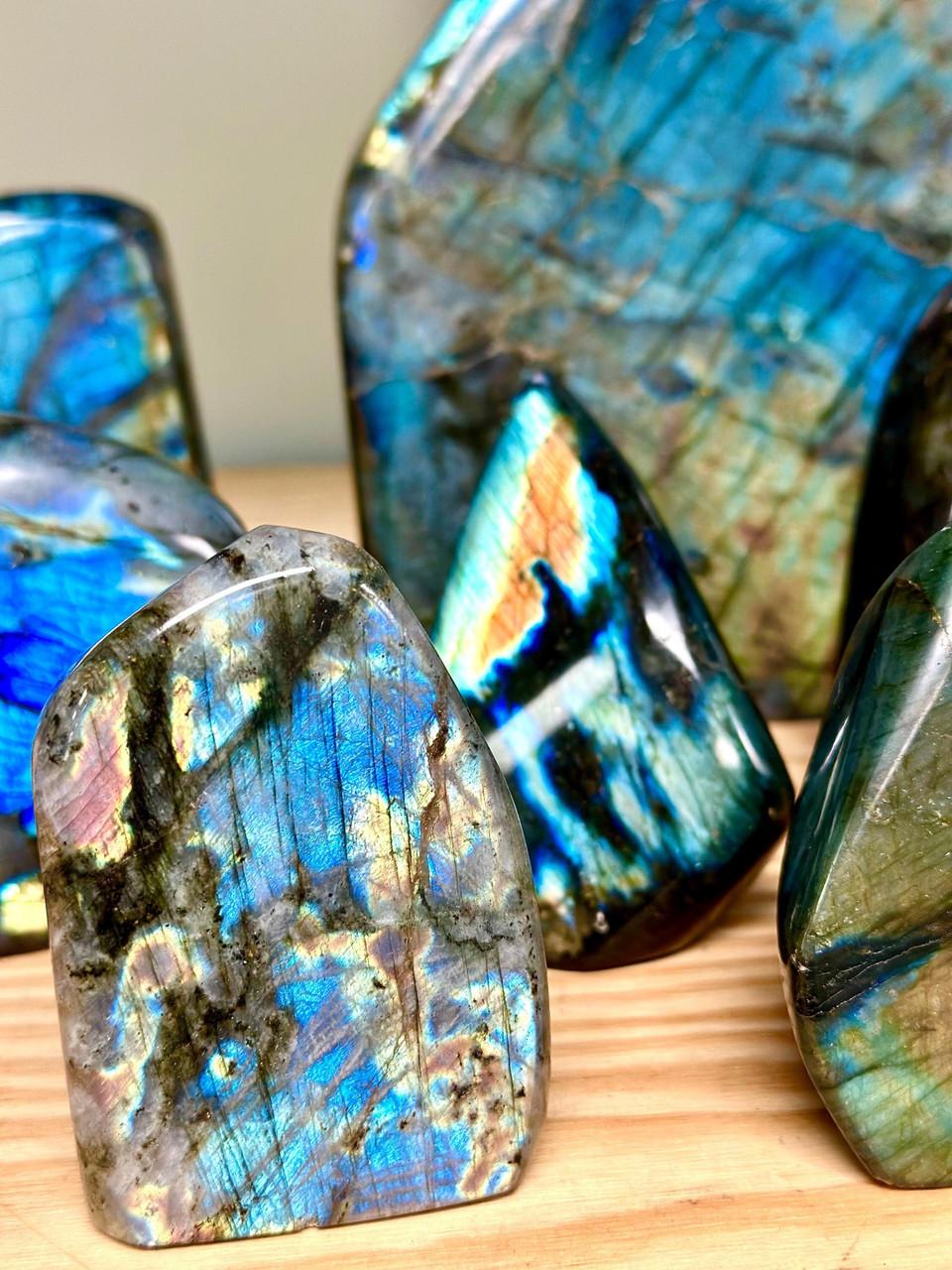 new-moon-beginnings-flashy-