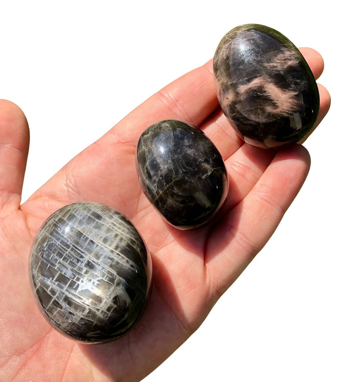 Black Moonstone Palm Stone - Polished Stone Oval | New Moon Beginnings