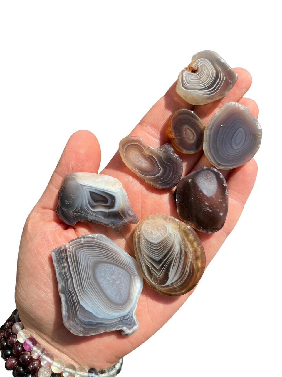 Botswana Agate Slice - Grade A | New Moon Beginnings