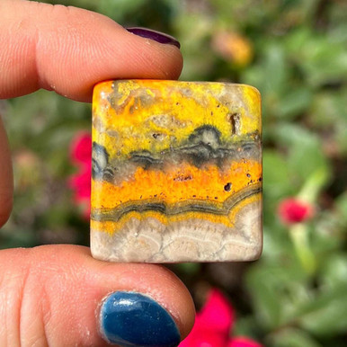Bumble Bee Jasper Slice | New Moon Beginnings