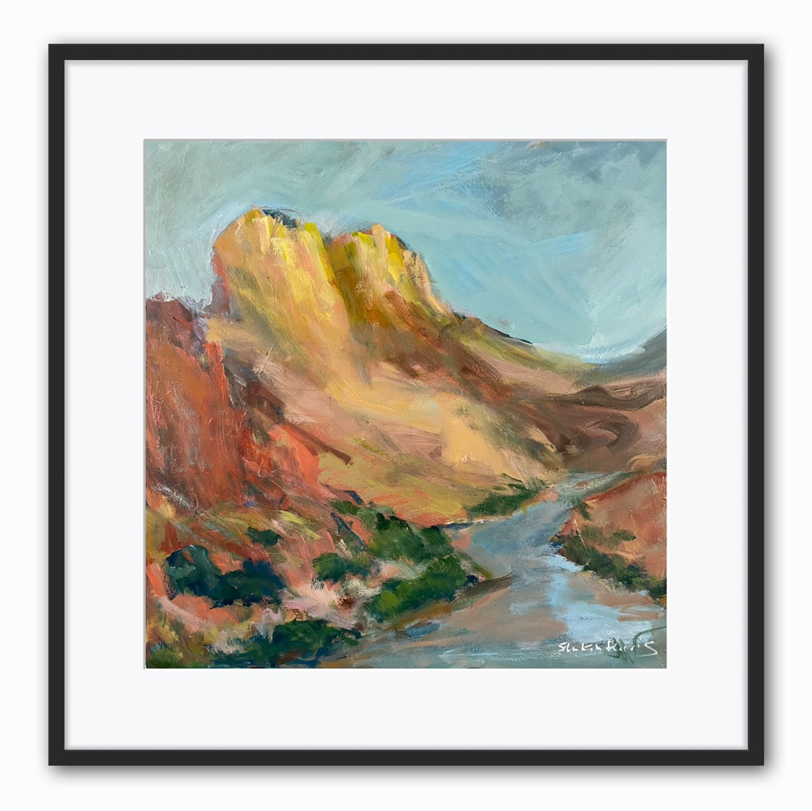Zion National Park, Landscape Mountain Valley Canvas Print 5x5