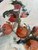 Oranges persimmons in white vase with cream background . modern yet traditional contemporary artwork on canvas . Budget canvas prints by louisville, ky artist Shakia Harris