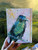 Apple of my Eye - Indigo Capped Hummingbird- Hardcover Journal with lined pages  - palette knife oil painting by shakia harris louisville, ky artist