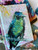 Apple of my Eye - Indigo CappApple of my Eye - Indigo Capped Hummingbird- Hardcover Journal with lined pages  - palette knife oil painting by shakia harris louisville, ky artisted Hummingbird- Hardcover Journal with lined pages  - palette knife oil painting by shakia harris louisville, ky artist