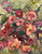 textured floral oil painting, small floral artwork, romantic flower painting, impressionist floral art, moody floral painting, expressive flower artwork, contemporary floral painting, blush pink floral art, garden inspired artwork, cottagecore wall art, modern impressionist painting, painterly floral canvas, floral still life painting, layered texture artwork, abstract floral oil painting, berry toned artwork, organic modern wall decor, feminine floral artwork, collected home aesthetic, heirloom style artwork, contemporary southern artist, Shakia Harris art, floral gallery wall art, sage green floral painting, luxury small artwork