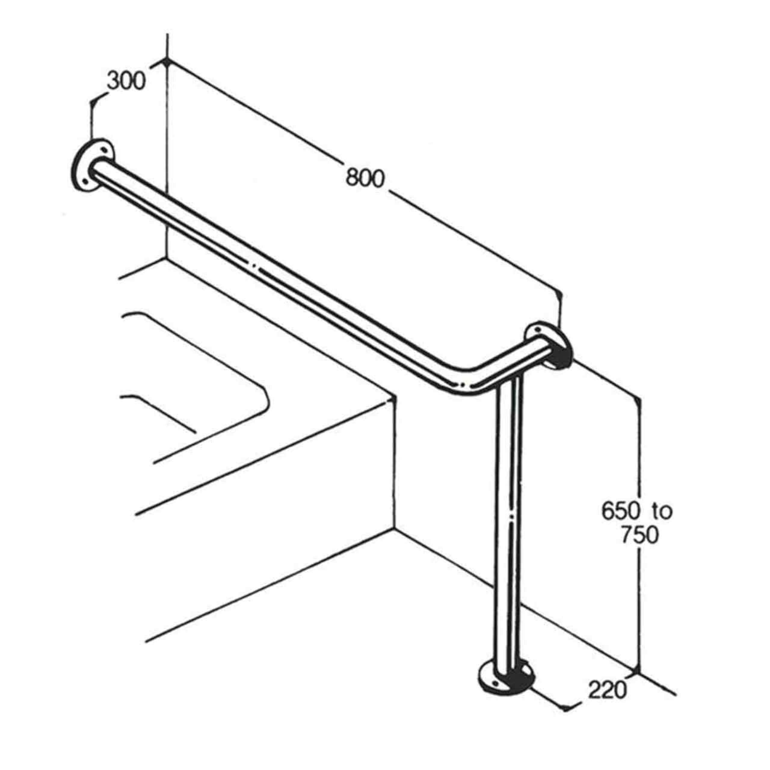 Rails for disabled bathroom