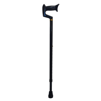 T Handle Walking Stick TH110 - Full View