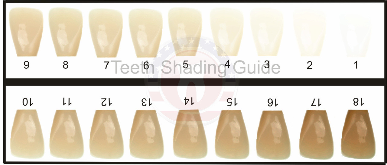 Tooth Color Chart Printable