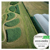 Aerial view of Phytomer's filtration gardens with lush green plants beside greenhouse structures, showing EcoVadis Platinum sustainability rating badge