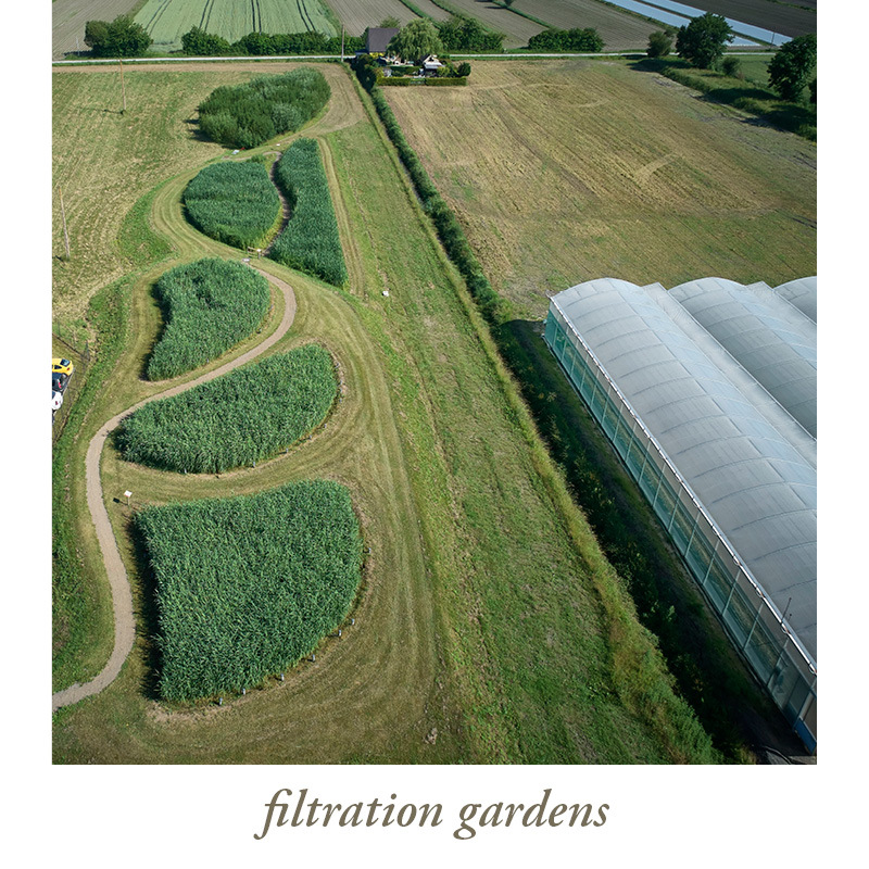 Aerial view of agricultural filtration gardens  bordered by a greenhouse.