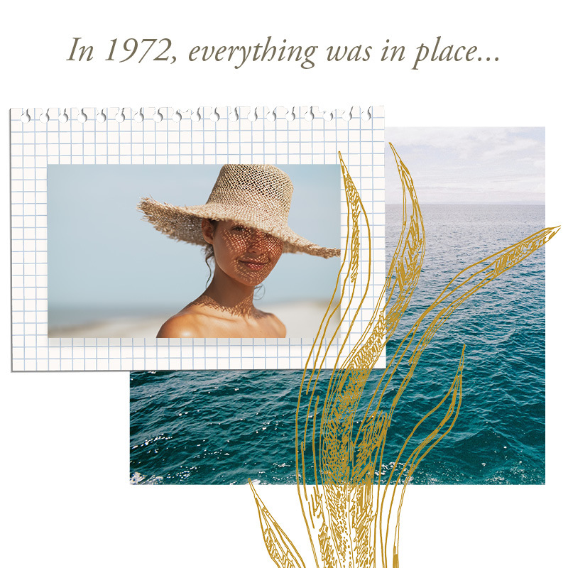Artistic collage featuring a woman wearing a wide-brimmed straw sun hat with ocean in background