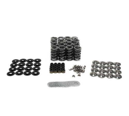 BTR GEN V LT1 VALVE SPRING KIT - .630" LIFT - BRONZE VALVE GUIDES - SK018/6560/BB