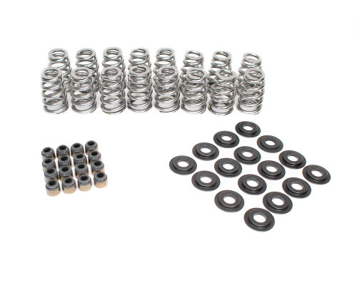 BTR .625" LIFT BEEHIVE VALVE SPRING KIT - BTR-SK018