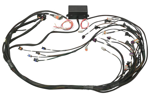 GM GEN III LS1 & LS6 Terminated Ignition Harness Only