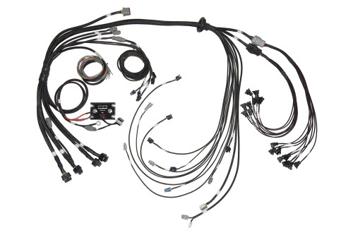 Elite 2500 & REM 16 GM SBC/BBC Terminated Harness Only