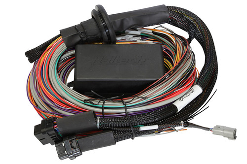 Elite 1500 - 2.5m (8 ft) Premium Uni Wire-in Harness Only