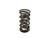 BTR DUAL SPRING - .685" LIFT - SOLD INDIVIDUALLY - SP010-1