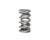 BTR SOLID ROLLER VALVE SPRING - SOLD INDIVIDUALLY - BTRXP1237-1