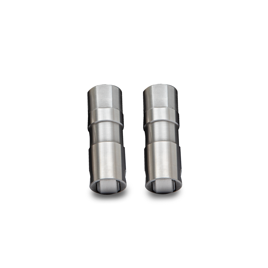 Morel-Pair__07918.1764348058.