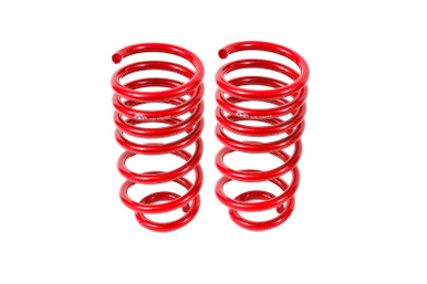 Blue Ridge 460 Spring SP024 - Lowering Springs, Rear, 1.4