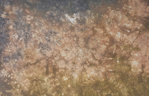 BeStitchMe, Acorns 36 ct Linen, Zweigart Base