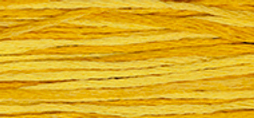 Squash 6 Strand Embroidery Floss