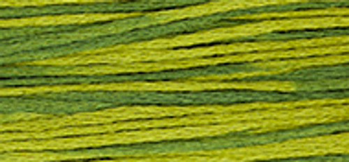 Moss WDW 6 Strand Embroidery Floss