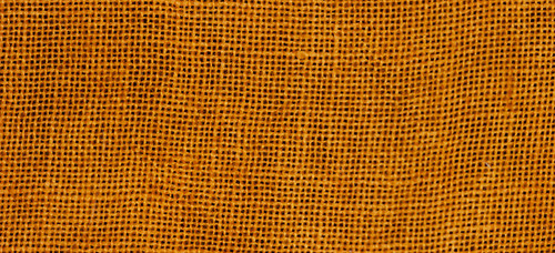 WDW Tiger's Eye 36 ct Linen