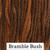 Bramble Bush 6 Strand Embroidery Floss