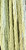 Sage - 6 strand embroidery floss