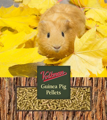Guinea Pig Pellets | The Bird Toy Store - Pellet Beets Guinea Pig
