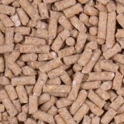 Winner's Cup 18 MaintenancePellets Pigeons The Bird Toy Store