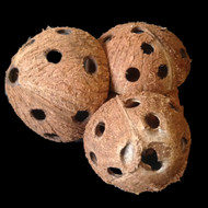 What can you do with a Coconut?