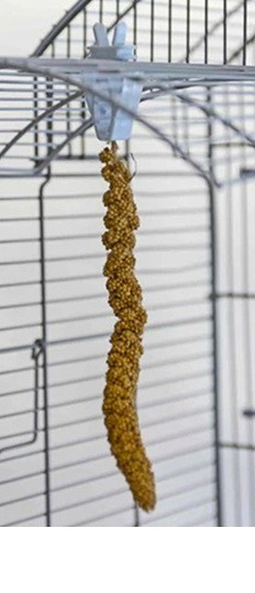 Millet Clips | The Bird Toy Store