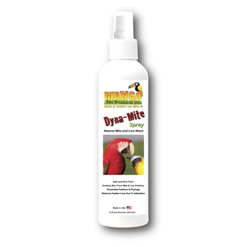 Dyna-Mite | The Bird Toy Store