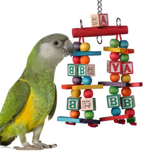 Katys ABCs Jr | The Bird Toy Store
