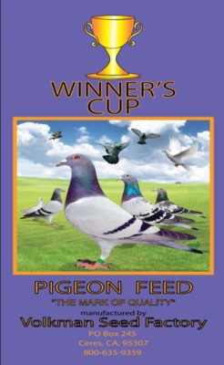 Winners Cup Popcorn | The Bird Toy Store