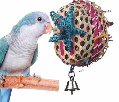 Tiki rope swings, All natural Parrot perches for birds parrots