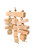 Au Naturale Mini Block | The Bird Toy Store