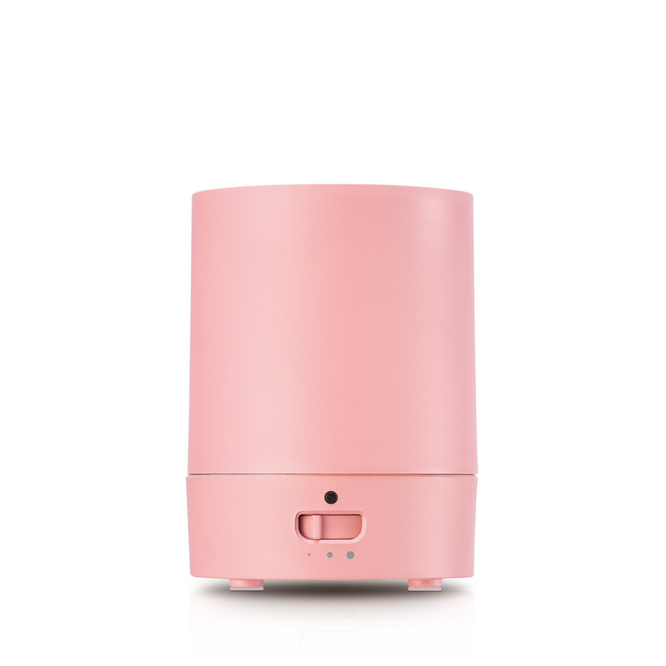 Ion Pink Fan Diffuser