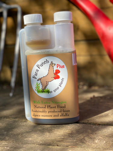 Paca Punch Plus (500ml)