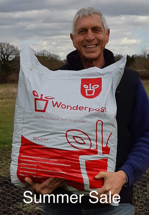 2021 Summer Sale now on!